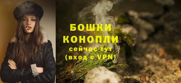 ешки Дмитровск