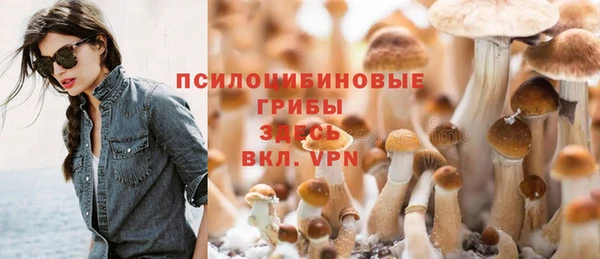 ешки Дмитровск