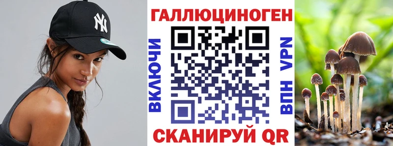 Псилоцибиновые грибы GOLDEN TEACHER  Купить  Саянск 